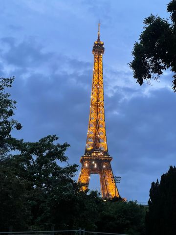 Ensoleillé avec de hauts plafonds, cet appartement calme, sûr, climatisé, situé au premier étage et entièrement rénové dans la chic rue de Grenelle est à 10 minutes à pied des Invalides et de la Tour Eiffel, et à 20 minutes de marche de la Seine, du ...
